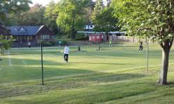 Grass courts in action

 